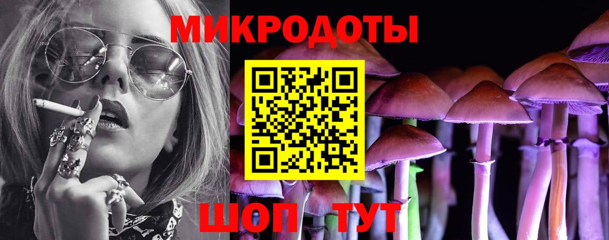 Галлюциногенные грибы Psilocybine cubensis Шахты