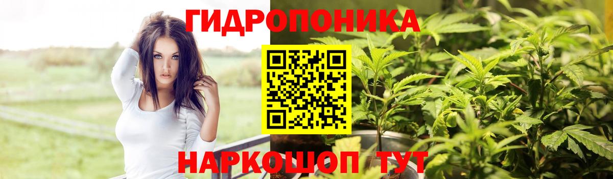 Канабис VHQ  Конопля марихуана  Шахты  Вход с VPN  Каннабис ГИДРОПОН  Бошки марихуана Bruce Banner 